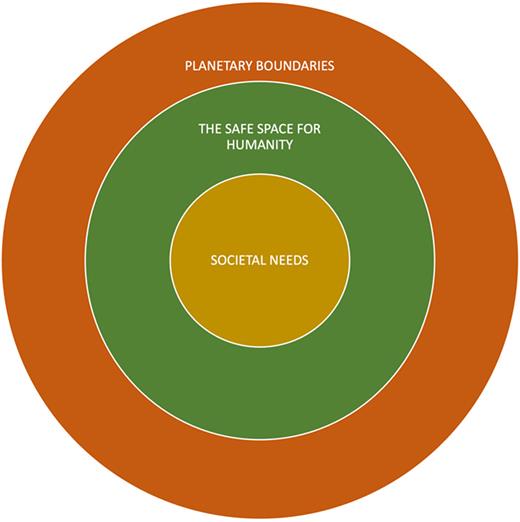 Fig. 1. Refer to the image caption for details.