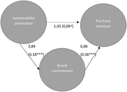 Fig. 2. Refer to the image caption for details.