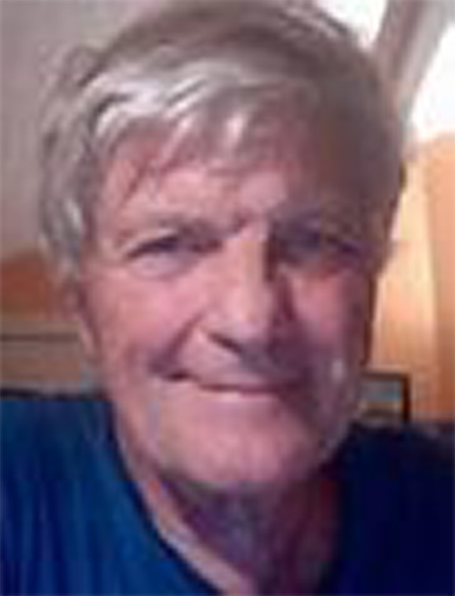 Figure. Refer to the image caption for details.
