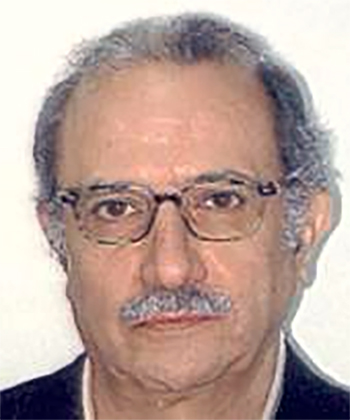 Figure. Refer to the image caption for details.