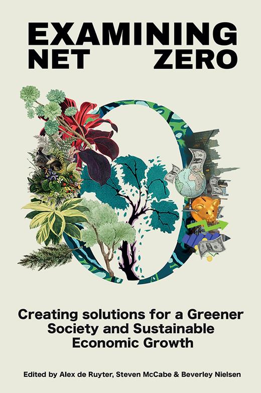 The Challenge of Net Zero: Evidence from the Indian Automotive Sector ...