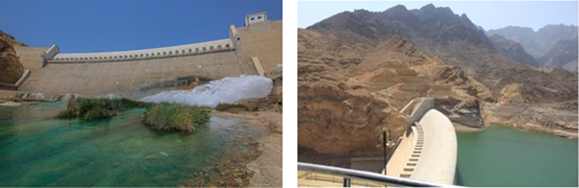 Figure 2 Refer to the image caption for details.