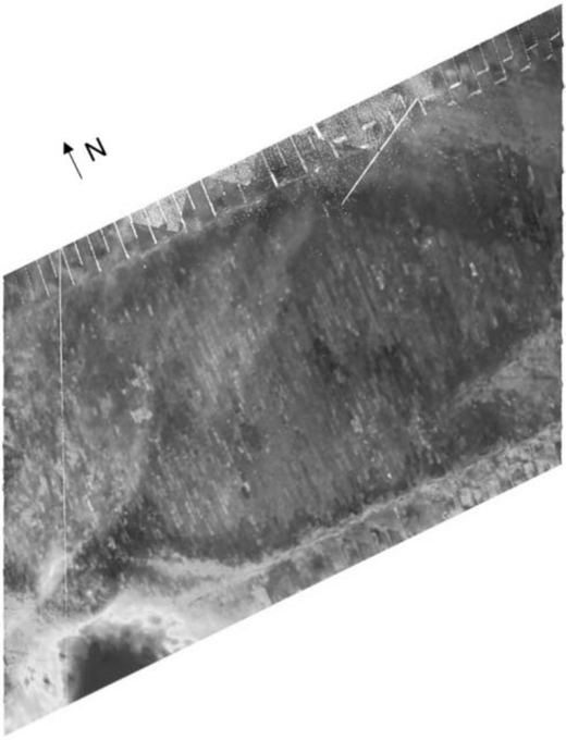 Figure 5 Refer to the image caption for details.