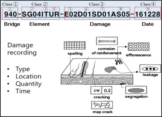 Figure 2 Refer to the image caption for details.