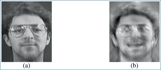 Two blurred grayscale photos labeled a and b, each showing the same person from the shoulders up, with glasses visible and facial details heavily blurred.