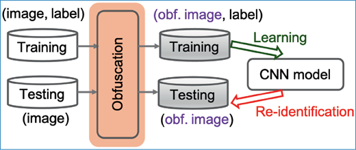 A diagram showing training and testing images passed through an obfuscation step, producing obfuscated images used to train a C N N model, with arrows labeled learning and re-identification.