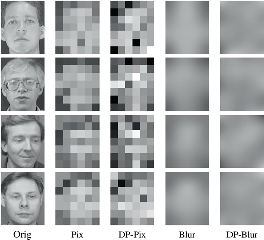 A grid showing four original face photos in the left column, followed by pixelated, D P pixelated, blurred, and D P blurred versions across four additional columns.