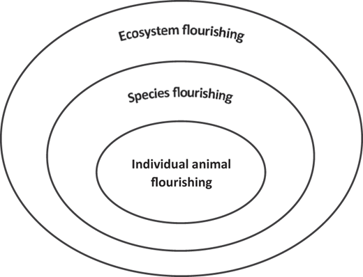 A figure shows three concentric ovals, each depicting a level of the accounting framework for nonhuman flourishing.