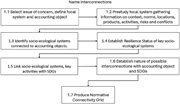 A flowchart illustrating the stages of socio-ecological system analysis.