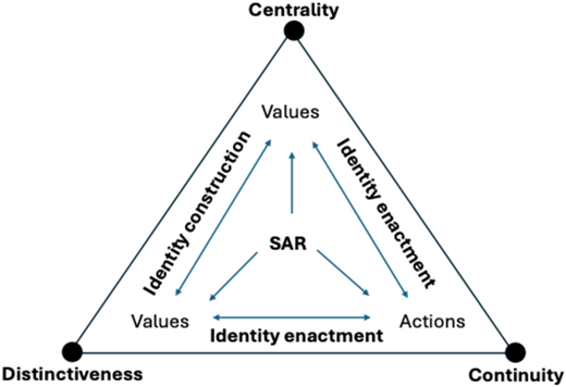 A triangular diagram showing the relationship between centrality, distinctiveness, continuity, and values in identity construction and enactment.
