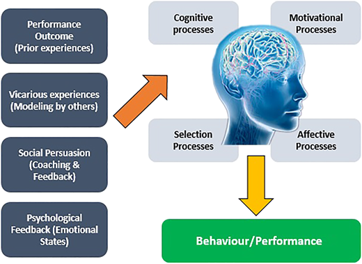 Figure 1 Refer to the image caption for details.