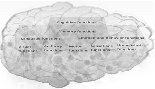 Figure 4 Refer to the image caption for details.