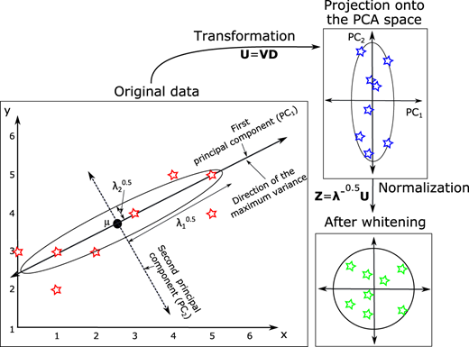 Figure 10 Refer to the image caption for details.
