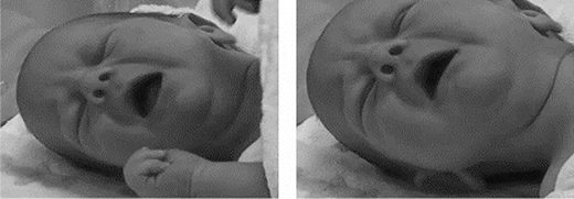 Figure 3 Refer to the image caption for details.