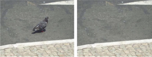 Figure 1 Refer to the image caption for details.