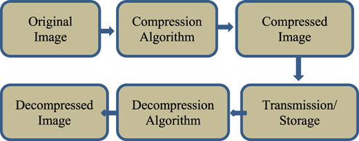 Figure 1 Refer to the image caption for details.