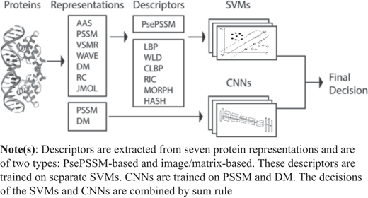 Figure 1 Refer to the image caption for details.