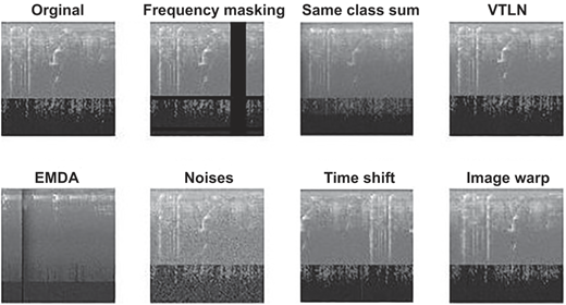Figure 2 Refer to the image caption for details.