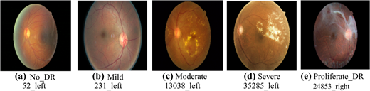 Figure 1 Refer to the image caption for details.
