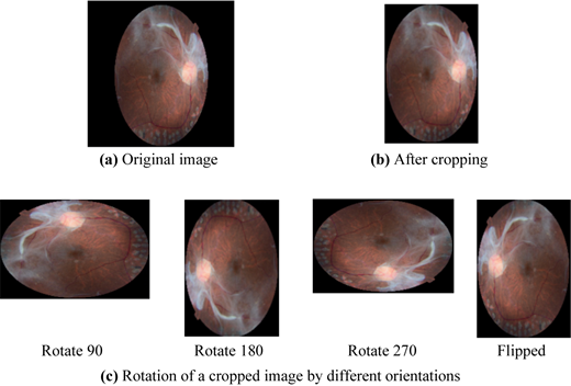 Figure 2 Refer to the image caption for details.
