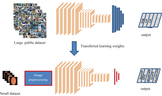 Figure 3 Refer to the image caption for details.