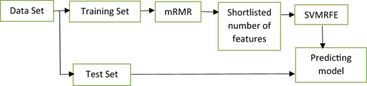 A flowchart shows data set split into training and test sets, feature selection, S M R F E, and a predicting model.