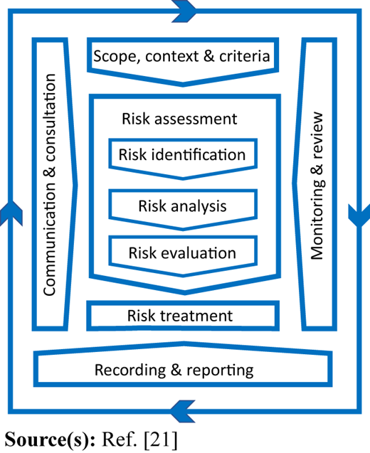A flowchart shows a cyclical risk management process with assessment, treatment, reporting, and ongoing review.
