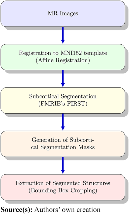 A flowchart illustrating the process of FSLFIRST segmentation of subcortical brain regions and subsequent extraction of brain structures.