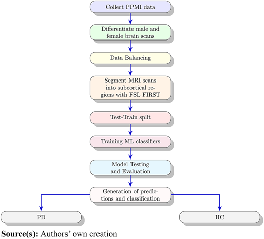 A flowchart illustrating the process of data collection, isolation of subcortical structures, and model development.