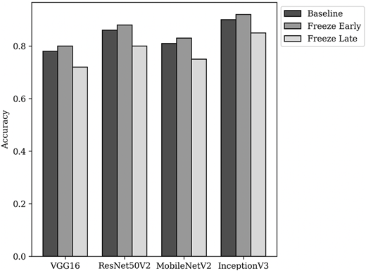A bar graph comparing the accuracy of different CNN models using various fine-tuning strategies.
