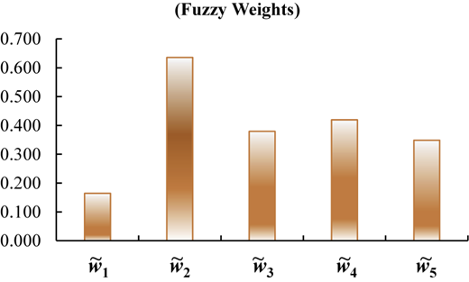 A bar graph showing fuzzy weights of five factors.