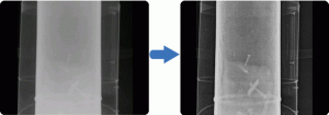 Figure. Refer to the image caption for details.