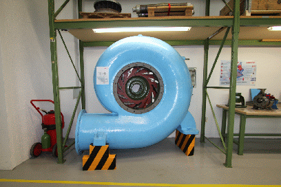 Figure. Refer to the image caption for details.