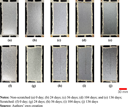 Figure 2 Refer to the image caption for details.