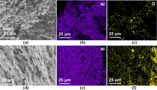 Six microscopy images show surface morphology and elemental maps for N i and O, comparing two samples with different texture patterns and distribution density.