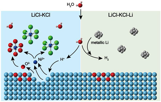 A schematic showing reactions in L i C l K C l and L i C l K C l L i systems, where H 2 O forms H plus and H 2, and N i 2 plus interacts with O 2 minus near a surface.