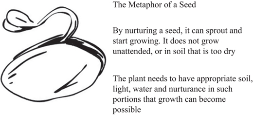 The metaphor of a seed describing engagement at an experiential level Refer to the image caption for details.