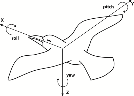Figure 1 Refer to the image caption for details.