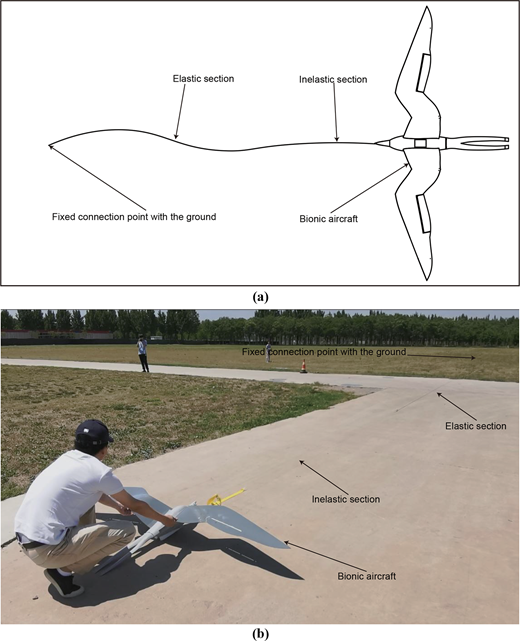 Figure 5 Refer to the image caption for details.