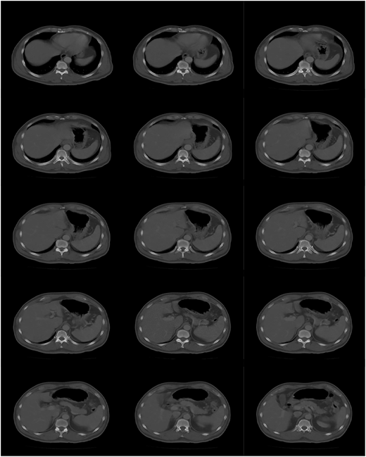 Figure 2 Refer to the image caption for details.