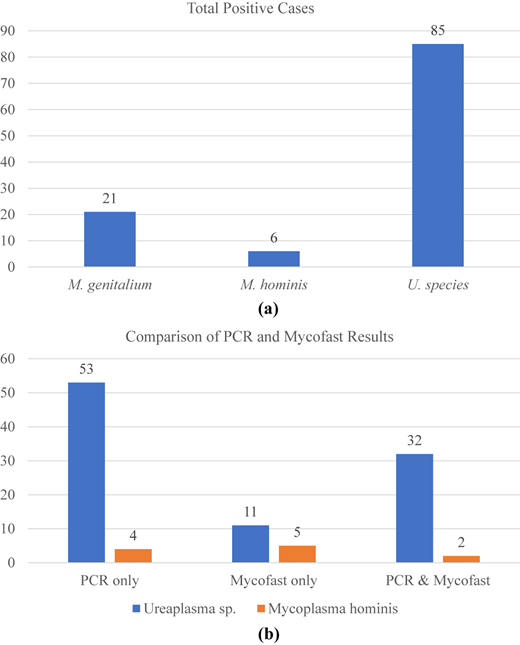 Figure 1 Refer to the image caption for details.