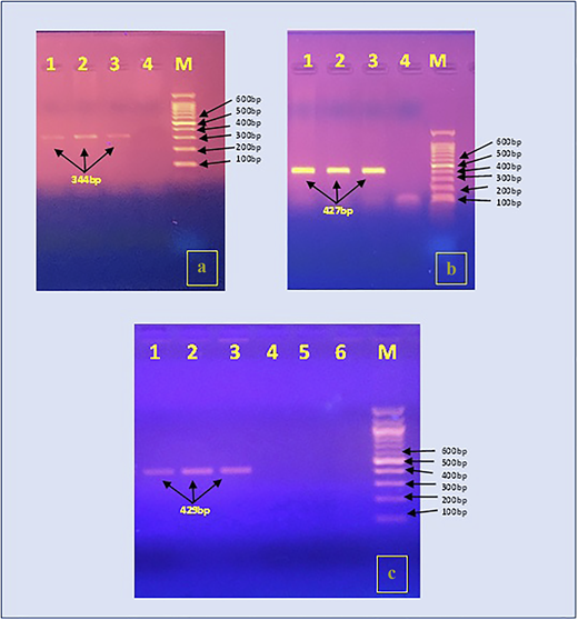 Figure 2 Refer to the image caption for details.