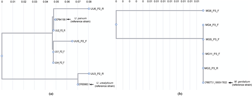 Figure 3 Refer to the image caption for details.