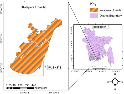 Figure 1 Refer to the image caption for details.