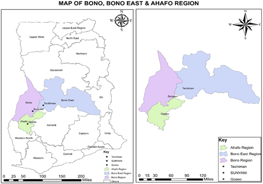 Figure 2 Refer to the image caption for details.