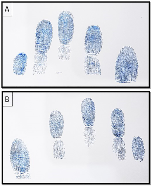 Figure 1 Refer to the image caption for details.