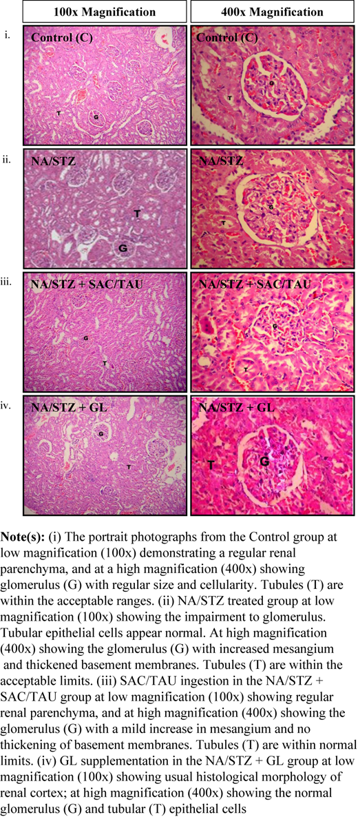 Figure 9 Refer to the image caption for details.