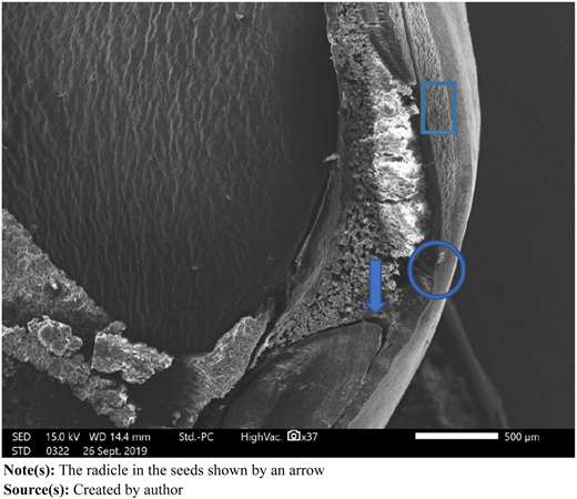 Figure 1 Refer to the image caption for details.