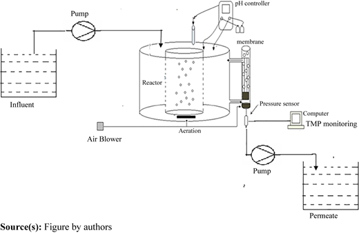 Figure 1 Refer to the image caption for details.