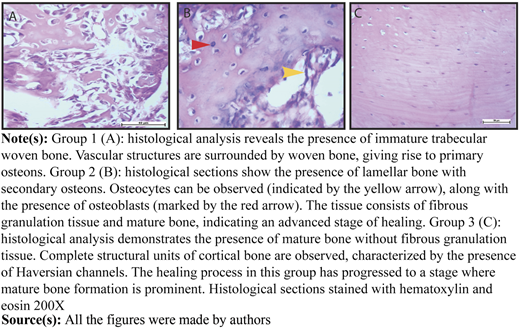 Figure 2 Refer to the image caption for details.